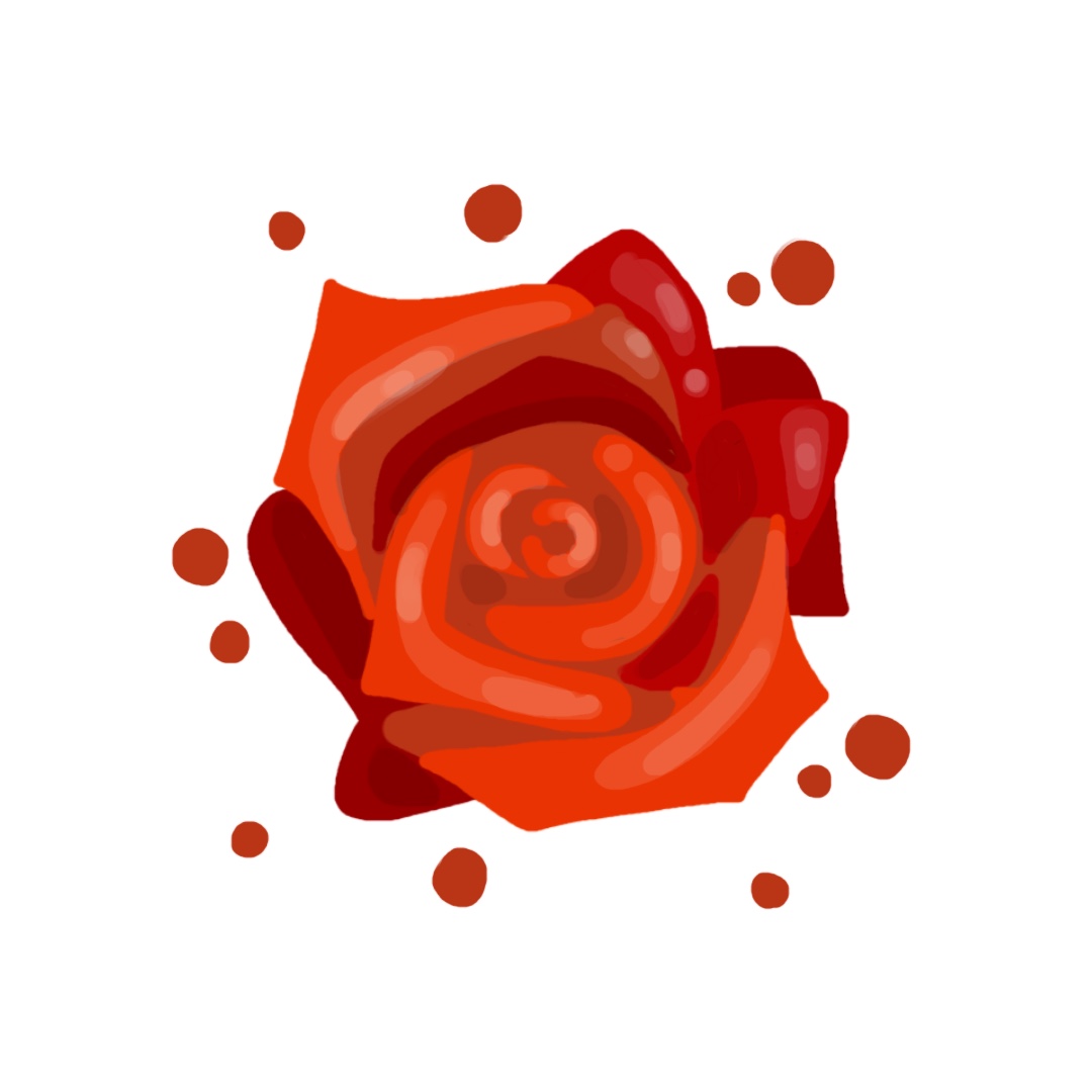 [16/365] Una rosa es una Rosa